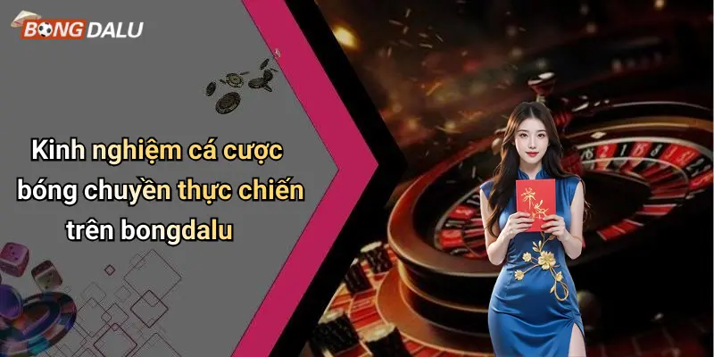 Kinh nghiệm cá cược bóng chuyền thực chiến trên bongdalu