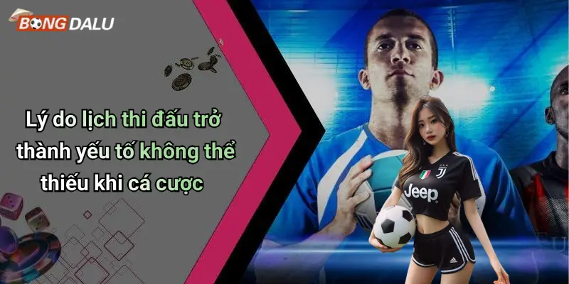 Lý do lịch thi đấu trở thành yếu tố không thể thiếu khi cá cược