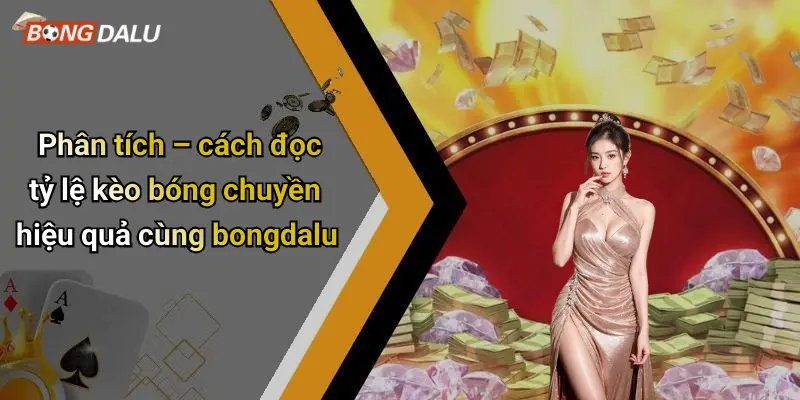 Phân tích – cách đọc tỷ lệ kèo bóng chuyền hiệu quả cùng bongdalu
