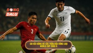 Soi kèo bóng đá các trận đấu vòng loại World Cup châu Á