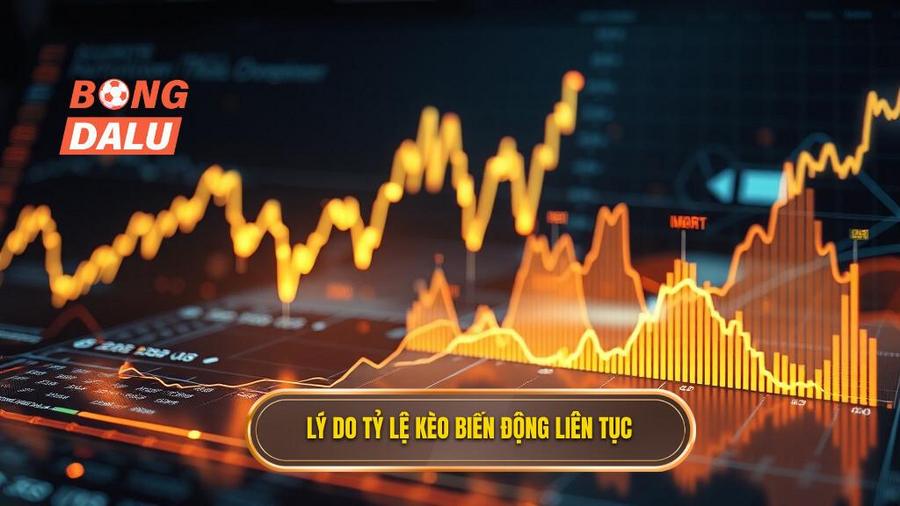 3. Lý do tỷ lệ kèo biến động liên tục