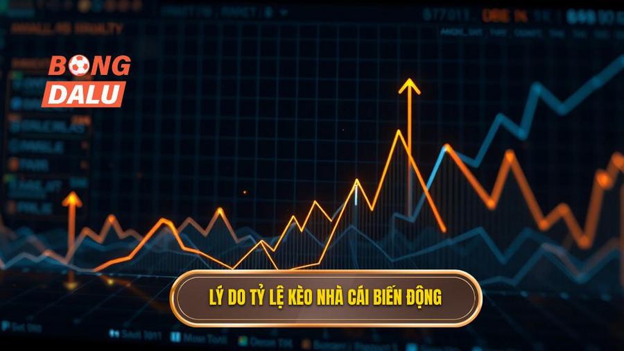3. Lý do tỷ lệ kèo nhà cái biến động